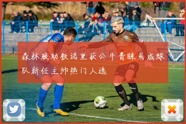 森林狼助教诺里获公牛青睐或成球队新任主帅热门人选